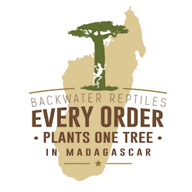 Every order plants one tree in Madagascar