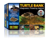 Turtle bank for sale