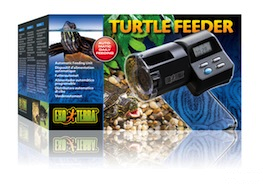 Turtle feeder for sale